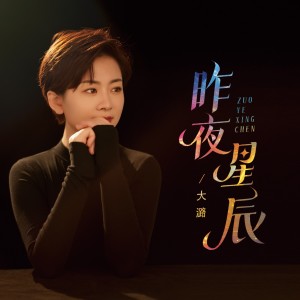 大潞的专辑昨夜星辰（律动女版）