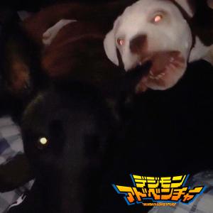 ดาวน์โหลดและฟังเพลง Digimon (feat. Currokush) (Explicit) พร้อมเนื้อเพลงจาก ucantfeelme