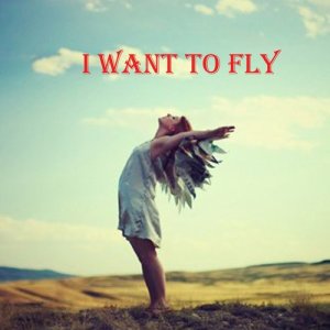 李洪的專輯I want to fly