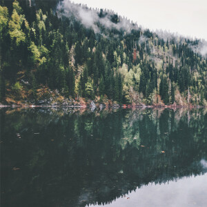 default album img