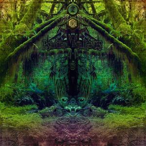 Various Artists的專輯Psilocybin Intelligences