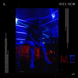 收聽Aves Noir的Stay for Now歌詞歌曲