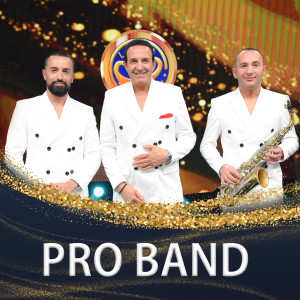 Listen to Op op qika song with lyrics from Pro Band