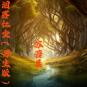 Album 泪落红尘 (男生版) from 苏若晨