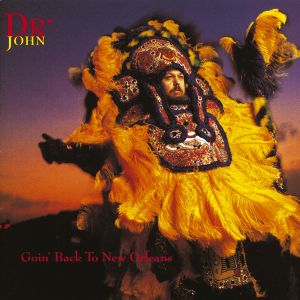 ดาวน์โหลดและฟังเพลง How Come My Dog Don't Bark (When You Come Around) (LP Version) พร้อมเนื้อเพลงจาก Dr. John