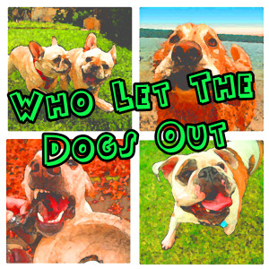 ดาวน์โหลดและฟังเพลง Who Let The Dogs Out (Baha Men Salute) พร้อมเนื้อเพลงจาก The Big Dogs