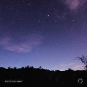 收听Mikey C的Alive In The Night歌词歌曲