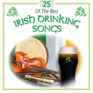 收聽Irish Fest Folk Group的The Irish Rover歌詞歌曲
