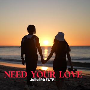 Need Your Love (feat. TP)