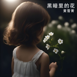 Album 黑暗裡的花 from 黄雪菁