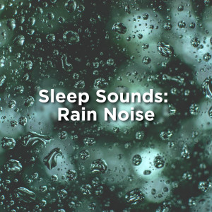 Listen to Rain Sounds To Study song with lyrics from Rain Sounds