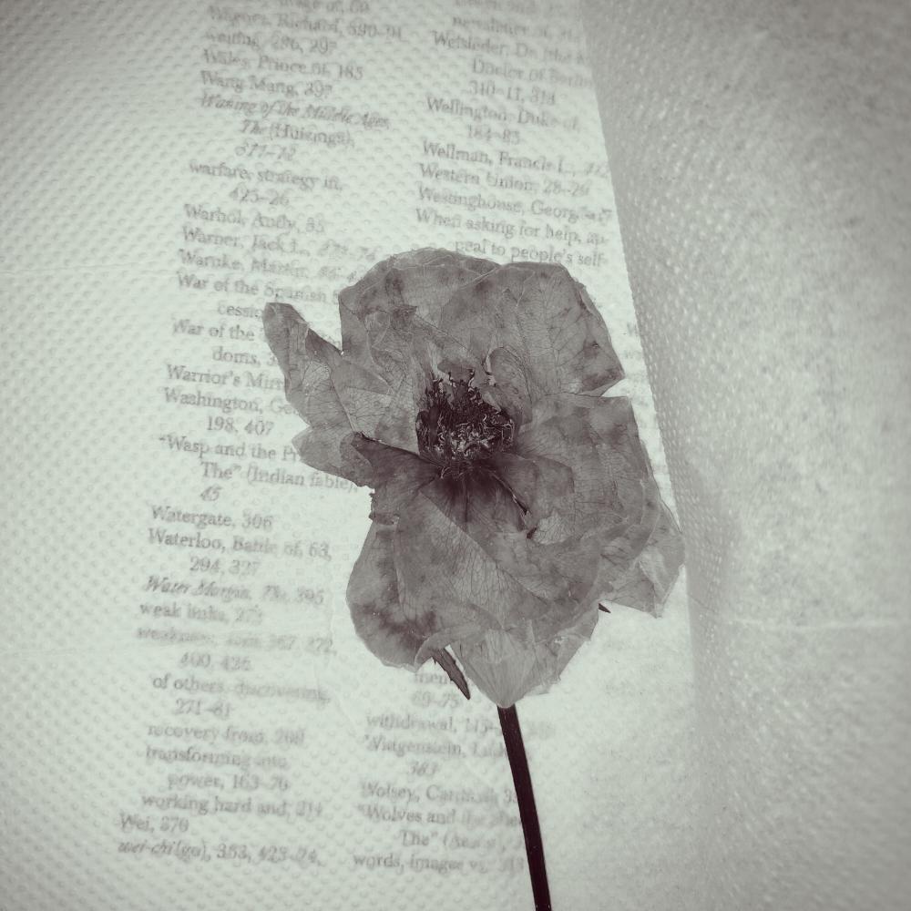 Phool (A)