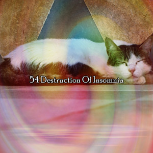 54 Destruction of Insomnia