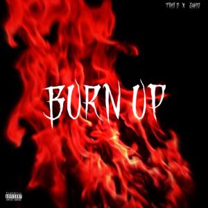 Timi D的專輯Burn Up (feat. Jamo)