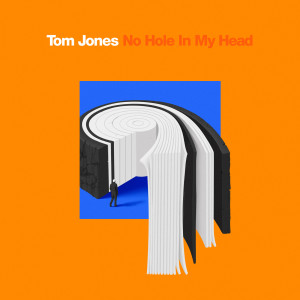 收聽Tom Jones的No Hole In My Head (Single Edit)歌詞歌曲
