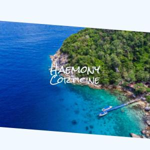 ดาวน์โหลดและฟังเพลง Haemony Corticine พร้อมเนื้อเพลงจาก Tesa Qman