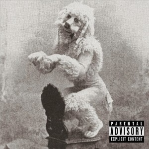 Album Not A TEST! (Explicit) from Fire-D with a big D