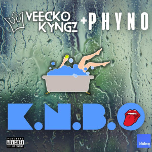 Album Kedu Ncha Bu Omo (Explicit) from Veecko Kyngz