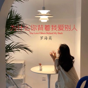 Album 为什么你背着我爱别人(2023抒情版) from 罗海英