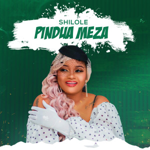 收听Shilole的Pindua Meza (Explicit)歌词歌曲