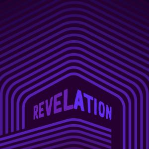 ดาวน์โหลดและฟังเพลง Revelation พร้อมเนื้อเพลงจาก The Reverend Shawn Amos