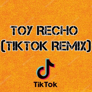 Album Toy Recho (TikTok Remix) oleh Tik Tok Viral
