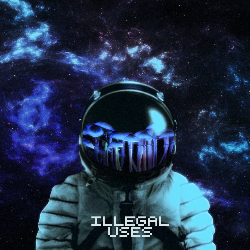 ILLEGAL USES