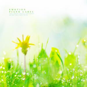Album New Age piano with warm sensibility to decorate the night of sleep from Various Artists