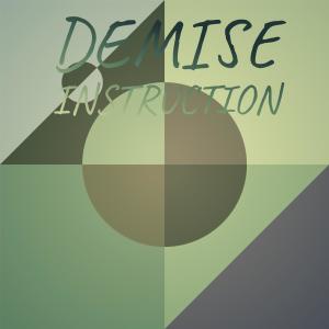 Various Artists的專輯Demise Instruction