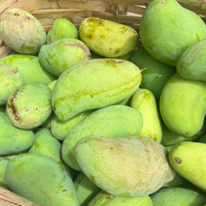 收聽Prabu Zabha的Echoes in the Rain歌詞歌曲