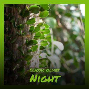 Listen to Christmas Deal song with lyrics from Nolly Capik