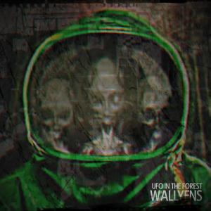 收聽Wallyens的UFO IN THE FOREST歌詞歌曲