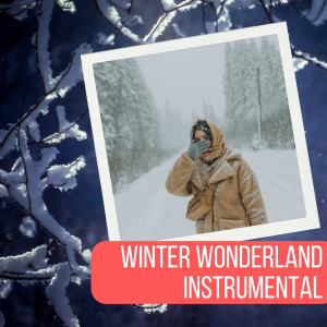 Winter Wonderland Instrumental (Christmas)