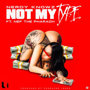 Listen to Not My Type song with lyrics from Nerdy KnowZ