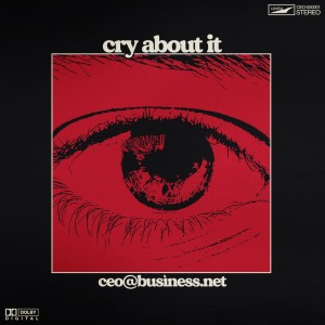 Album cry about it (Explicit) from ceo@business.net