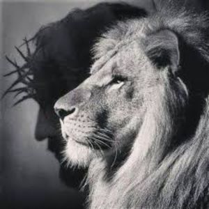 ดาวน์โหลดและฟังเพลง Talvez Se Eu Te Escutasse Mais พร้อมเนื้อเพลงจาก Delucca MC