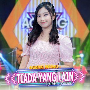 Dengarkan Tiada Yang Lain lagu dari Cantika Davinca dengan lirik