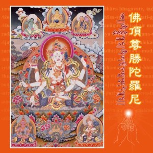 收聽群星的尊勝佛母讚歌詞歌曲