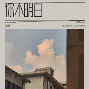 Listen to 你不明白 (cover: 惠音) (完整版) song with lyrics from 杨李鑫