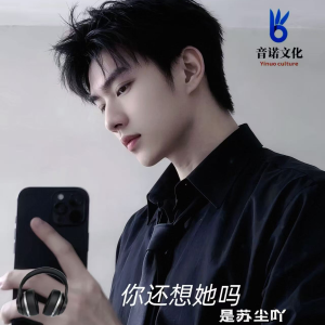 Album 你还想她吗 from 是苏尘吖