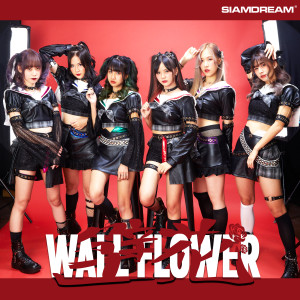 อัลบัม Wallflower ศิลปิน Siam☆Dream