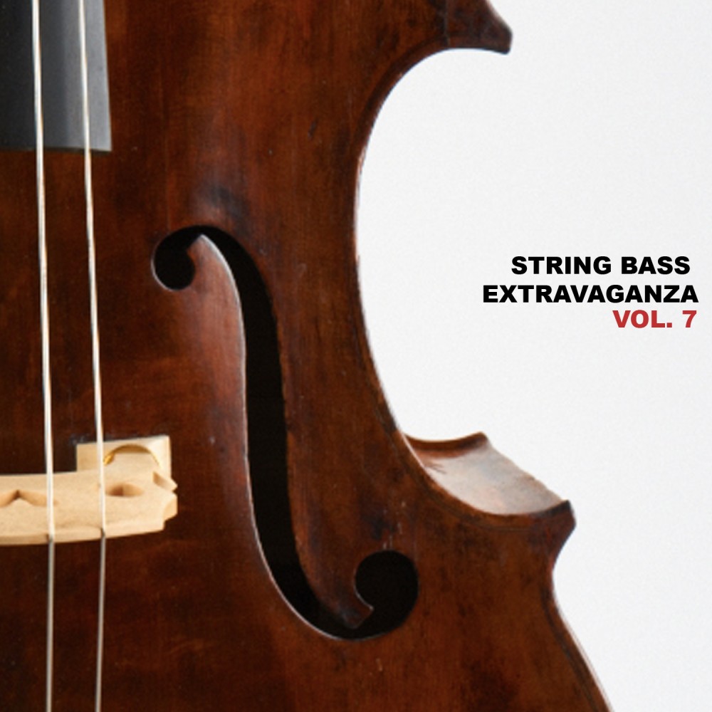 Bull Fiddle Rag