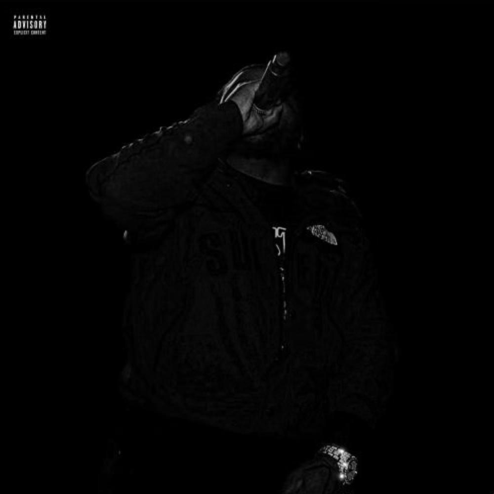 The Circle (feat. Roadrunner Glockboyz Tez, Glockboyz Teejaee, HP J Rock, Shredgang Mone, Bandgang Lonnie Bands & Bandgang Biggs) (Explicit)