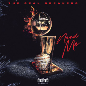 Listen to Need Me (Explicit) song with lyrics from The Seal Breakers