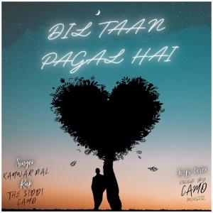 Album Dil Taan Pagal Hai (feat. Kanwar Pal & The Ziddi) from Camo Musiq