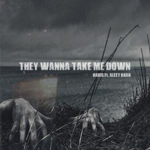 Listen to They Wanna Take Me Down (feat. Aleey Khan) song with lyrics from MEMAIR