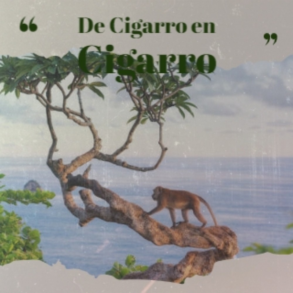 Nao Quero Amar