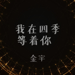 收聽金宇的我在四季等着你歌詞歌曲