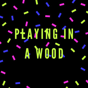 Album Playing in a Wood from Sash