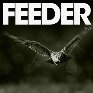 ดาวน์โหลดและฟังเพลง Fly (其他) พร้อมเนื้อเพลงจาก Feeder